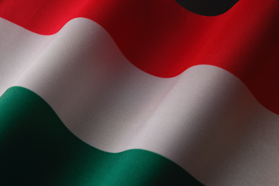 הונגריה מפעילה מחדש את תוכנית ויזת הזהב השנויה במחלוקת